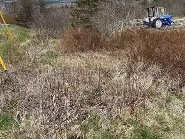 House for sale in Carbonear, Newfoundland And Labrador