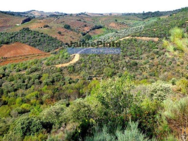 Terreno venda em Alfândega Da Fé, Bragança