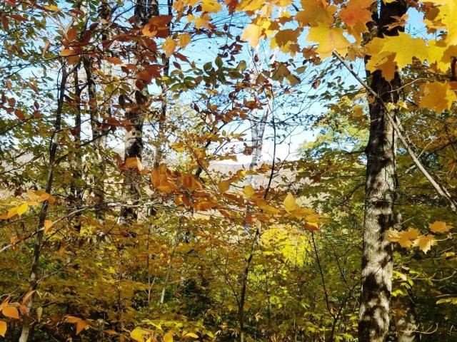 Land for sale in New Hampshire