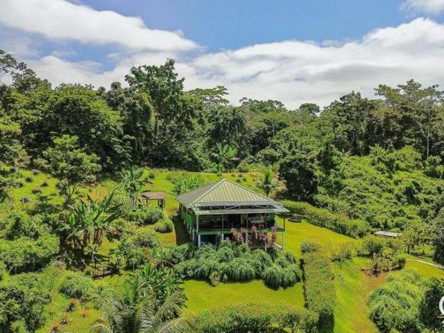 12.14 Hectáreas Con Casa De Madera, Árboles Frutales En Isla Cristóbal