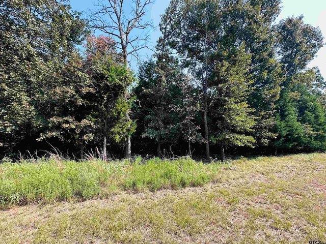 Land for sale in Henderson, Texas