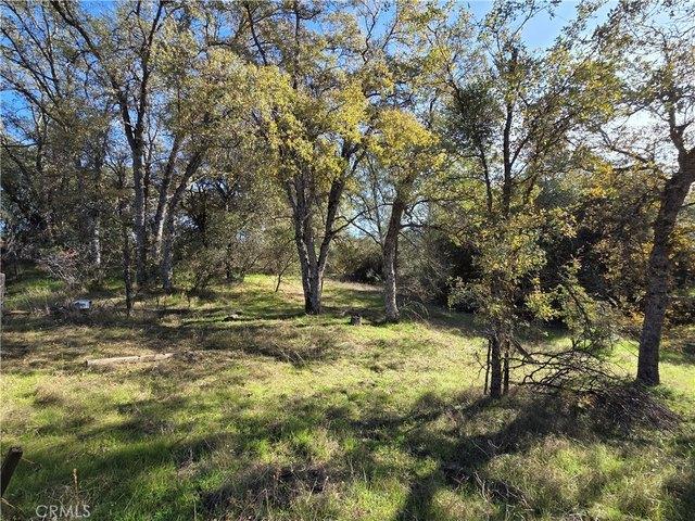 Land for sale in North Fork, California