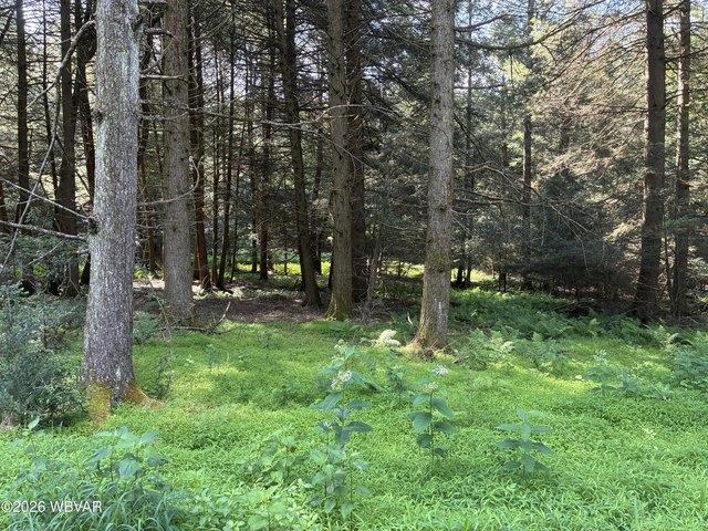 Land for sale in Lock Haven, Pennsylvania