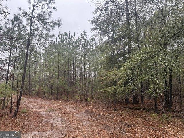Land for sale in Pine Mountain, Georgia