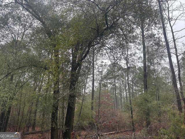 Property for sale in Pine Mountain, Georgia