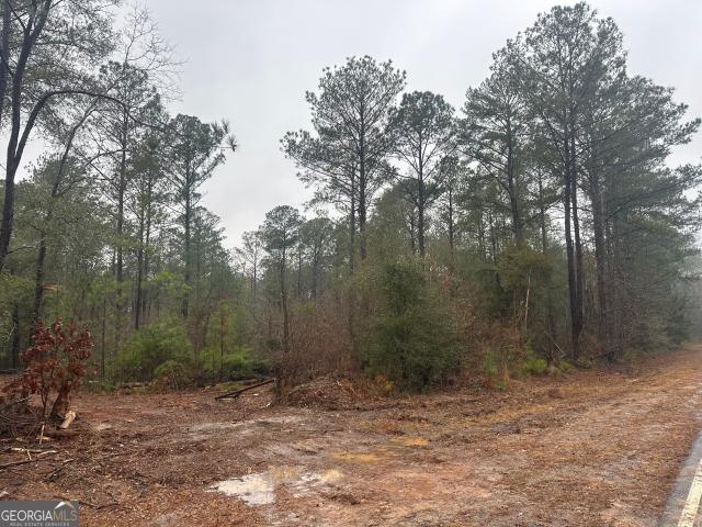 Land for sale in Pine Mountain, Georgia