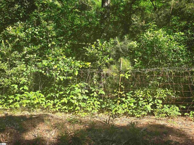 Land for sale in Walhalla, South Carolina