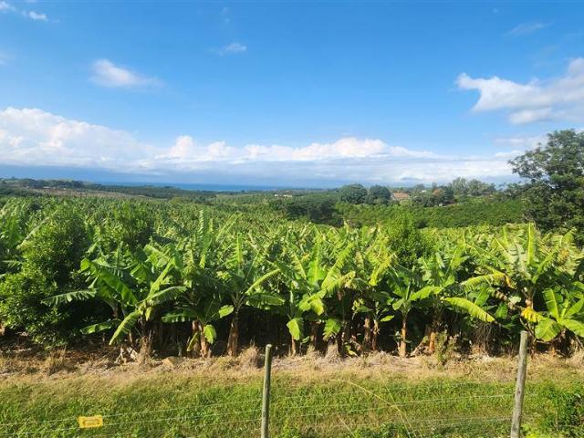 Farm for sale in Ugu District Municipality, Kwazulu-natal