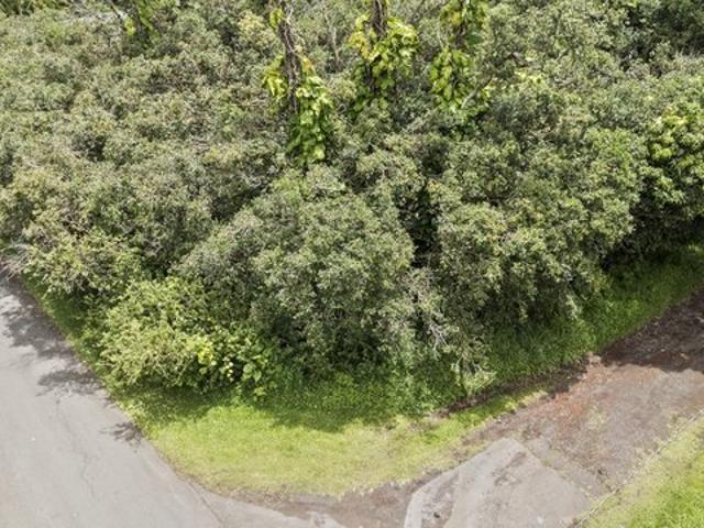 Land for sale in Pahoa, Hawaiʻi County