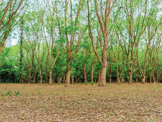 Farm for sale in North West