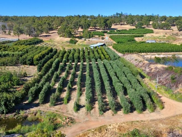 Property for sale in Karragullen, Western Australia