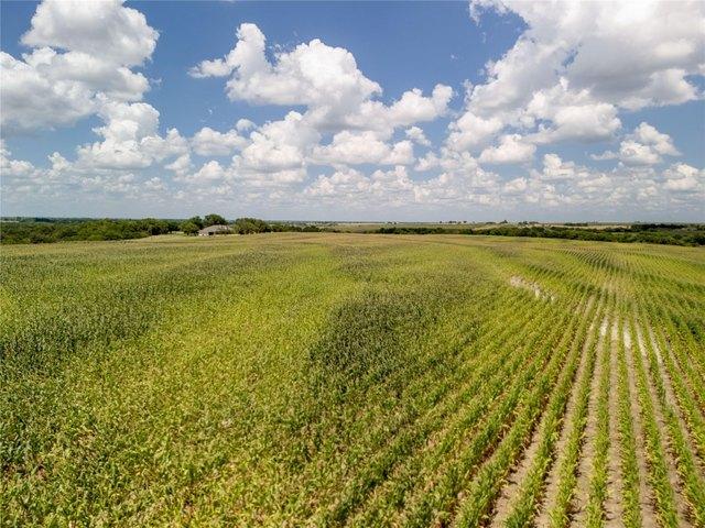 Land for sale in Hubbard, Texas