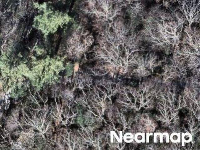 Property for sale in Lenoir, North Carolina