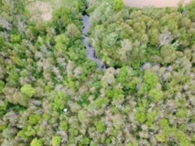 Land for sale in Michigan