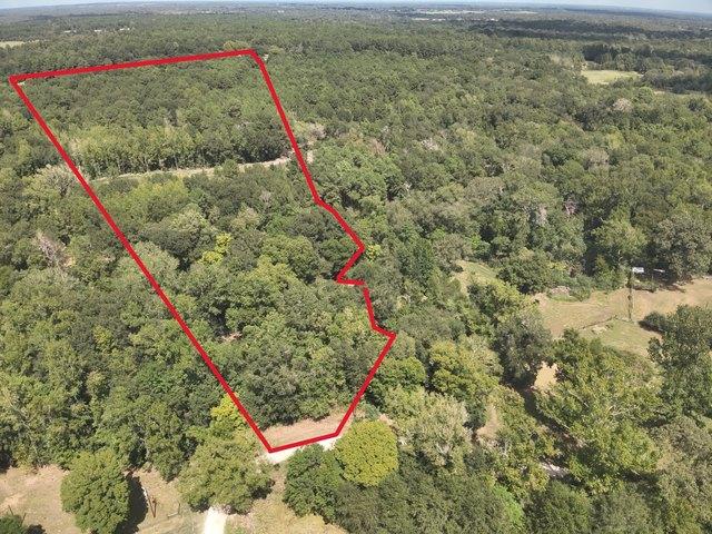 Land for sale in Leona, Leon County