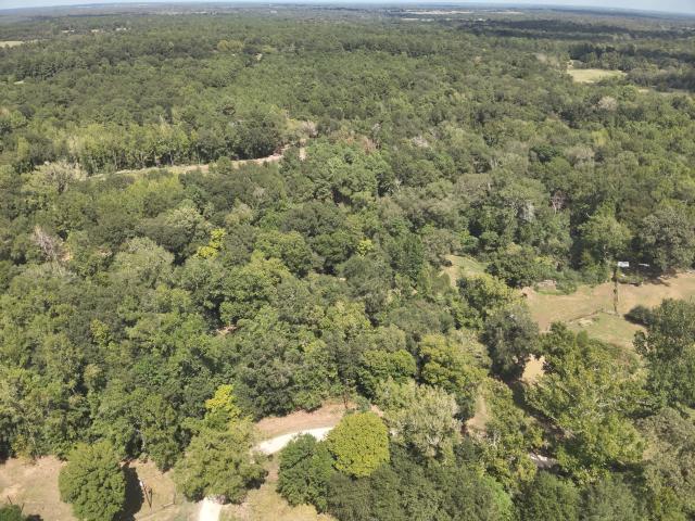 Land for sale in Leona, Leon County