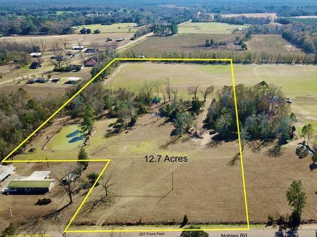 Land for sale in Cottonwood, Alabama