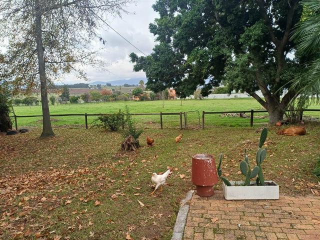Farm for sale in Durbanville, Western Cape