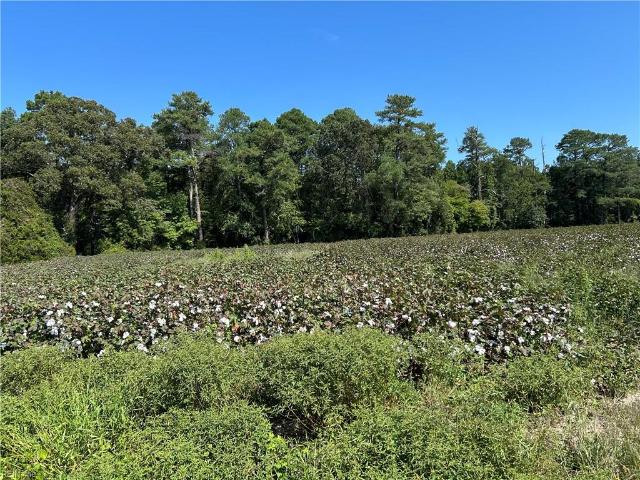 Land for sale in Virginia
