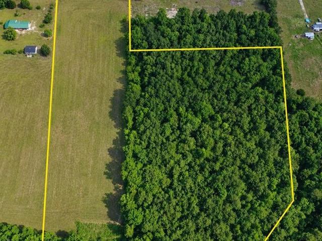 Land for sale in Magnolia, North Carolina