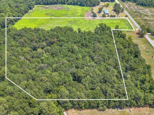 Land for sale in Magnolia, North Carolina