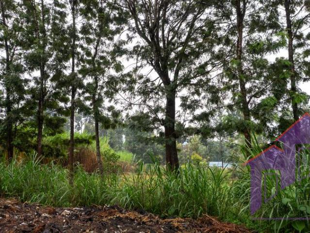 Land for sale in Kiambu, Nairobi
