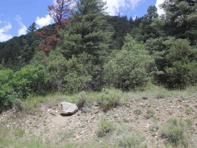 Land for sale in Questa, Taos County