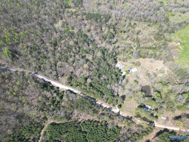 Land for sale in Moulton, Alabama