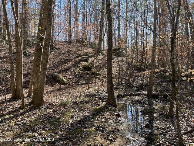 Farm for sale in Tallapoosa, Alabama