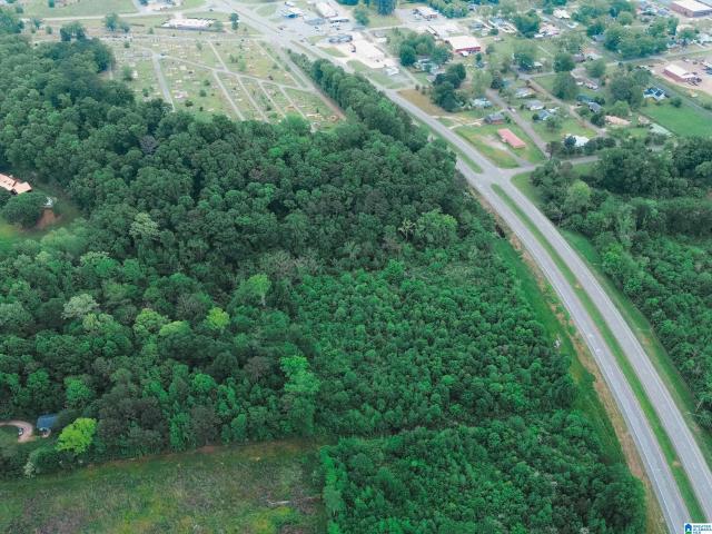Commercial for sale in Piedmont, Alabama