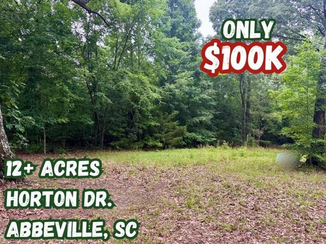 Land for sale in Abbeville, South Carolina