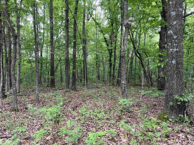 Land for sale in Harrison