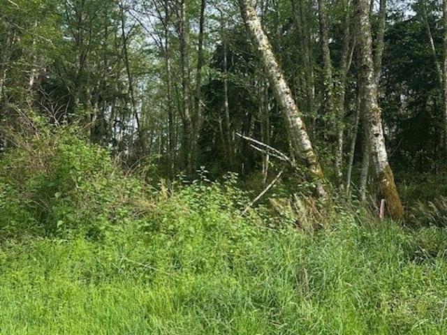 Land for sale in Freeland, Washington