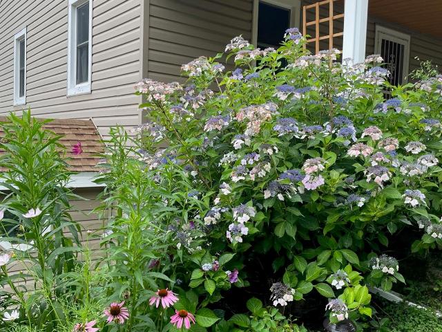 House for sale in Kingston, New York