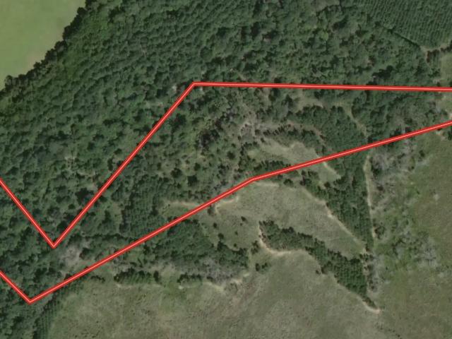 Land for sale in Walker, Texas