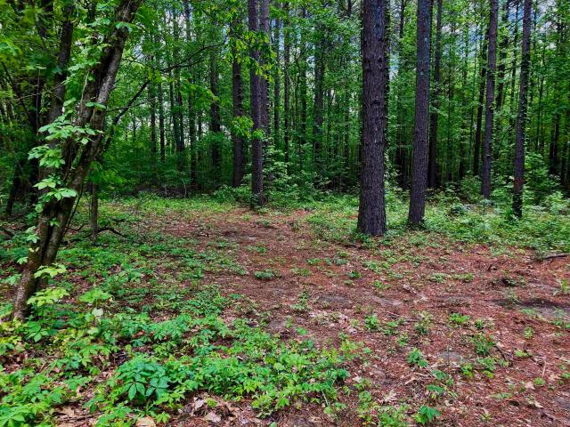 Land for sale in Harrisburg