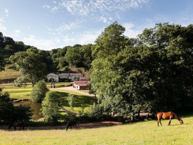 House for sale in Newton St Cyres, Devon