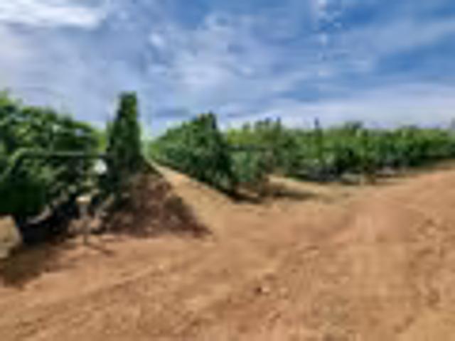 Farm for sale in Robertson, Western Cape