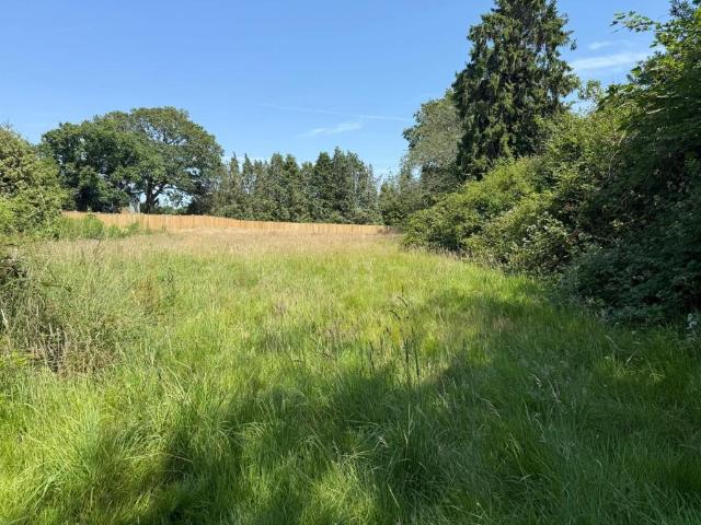 Land for sale in Abbotsford, Perryfields