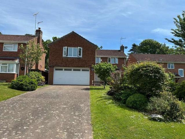 Studio for rent in Budlake, Devon