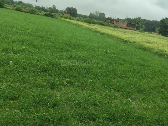 House for rent in Arunachal Pradesh
