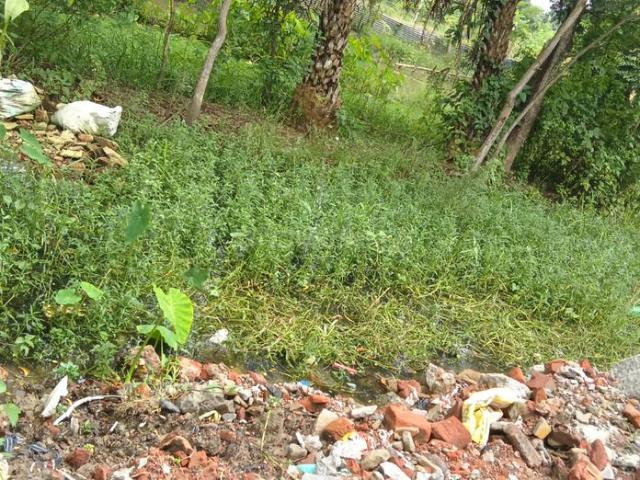 House for rent in South 24 Parganas, West Bengal