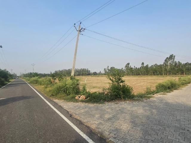 House for rent in Faridpur, Arunachal Pradesh