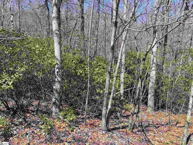 Land for sale in Landrum, South Carolina