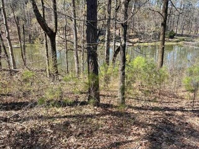 Land for sale in Hernando, DeSoto County