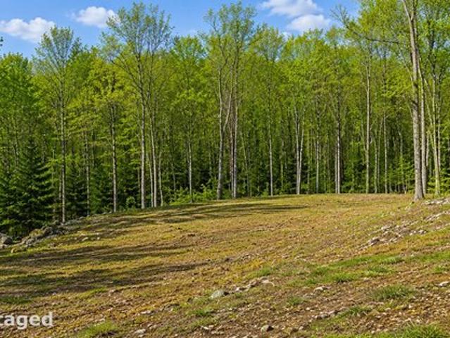 Land for sale in Harwinton, Connecticut