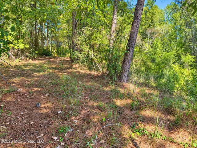 Land for sale in Purvis, Lamar County