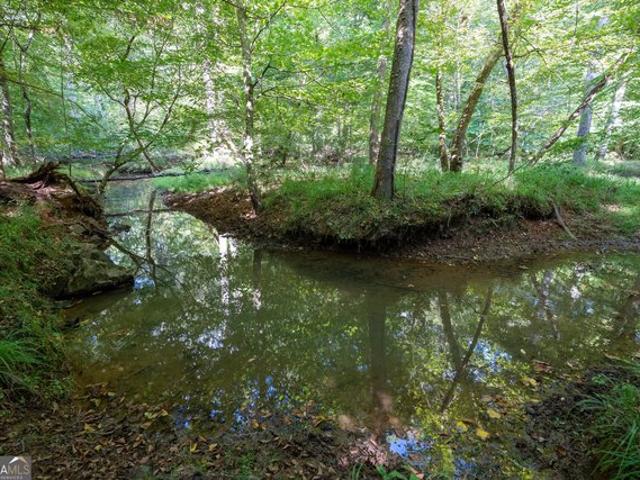 Land for sale in Tignall, Wilkes County