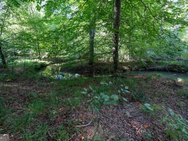Land for sale in Tignall, Wilkes County