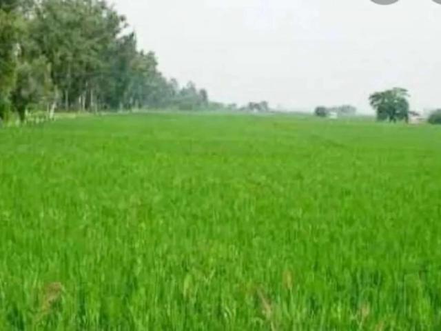 Land for sale in Dipalpur, Islamabad Capital Territory